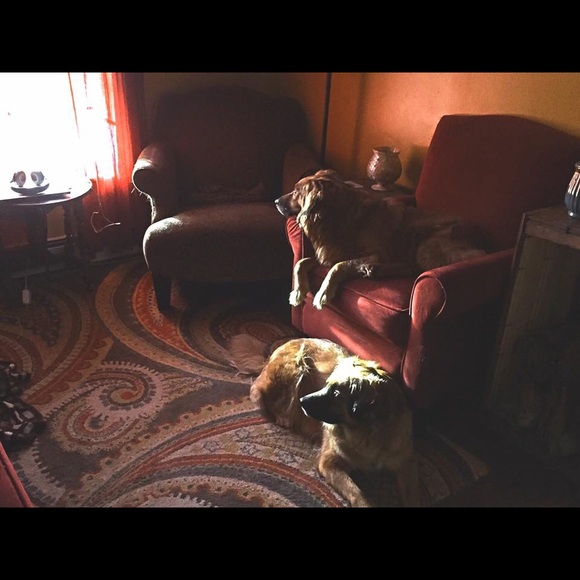 Meet your Posher, Jackie - Picture 6 of 8